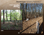 wooded cemetery restoration